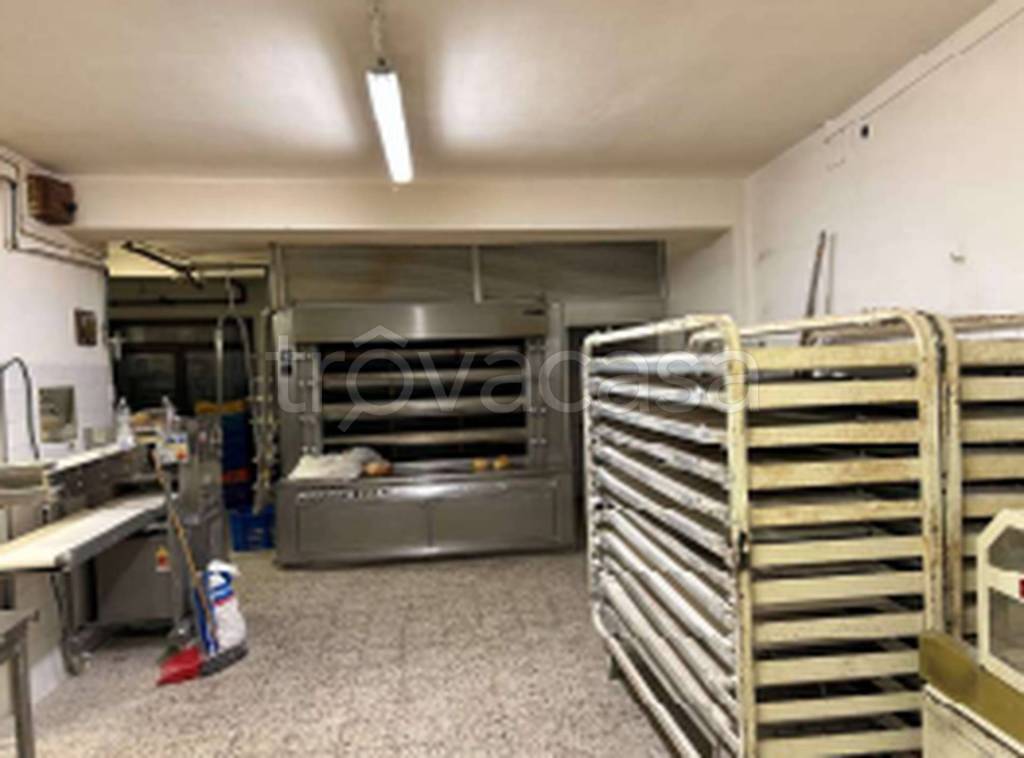 immagine annuncio 4 di 12