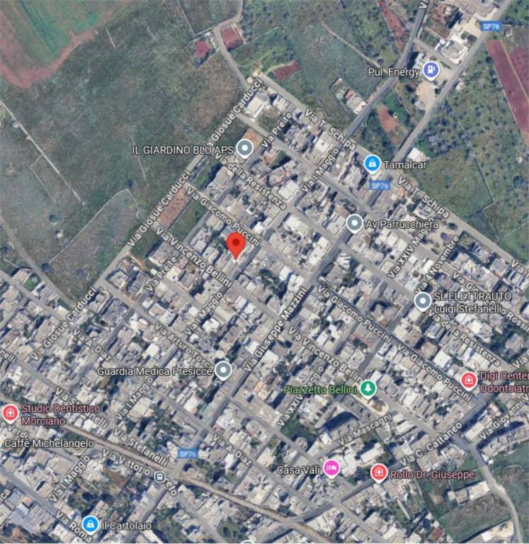 immagine annuncio 12 di 14