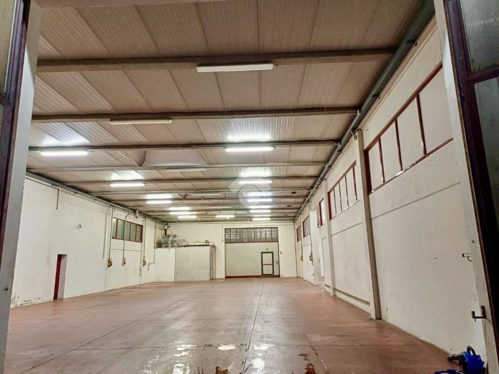 immagine annuncio 3 di 10