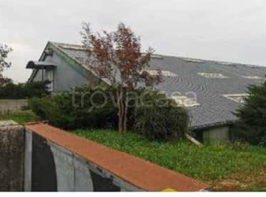 immagine annuncio 1 di 8