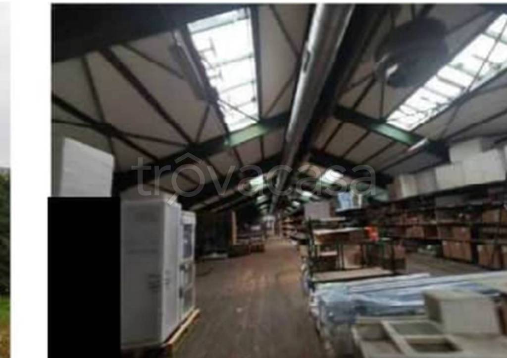 immagine annuncio 4 di 8