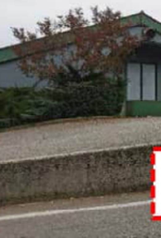 immagine annuncio 5 di 8