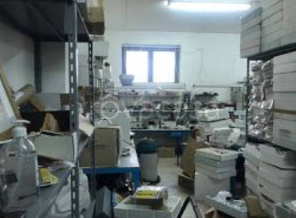 immagine annuncio 2 di 14