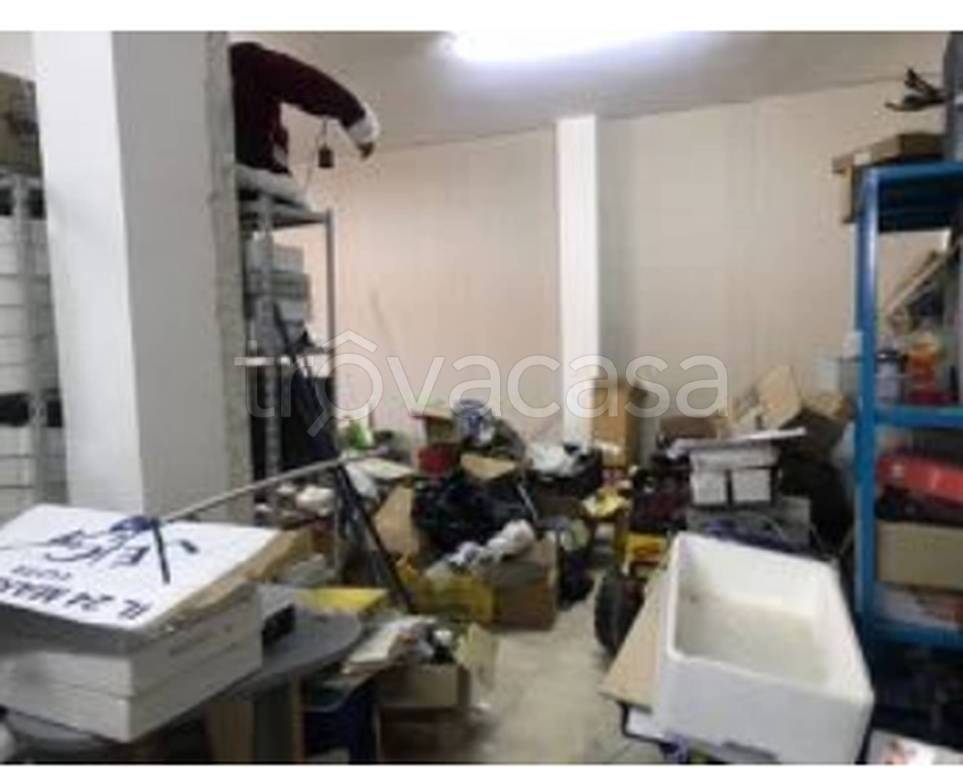 immagine annuncio 3 di 14