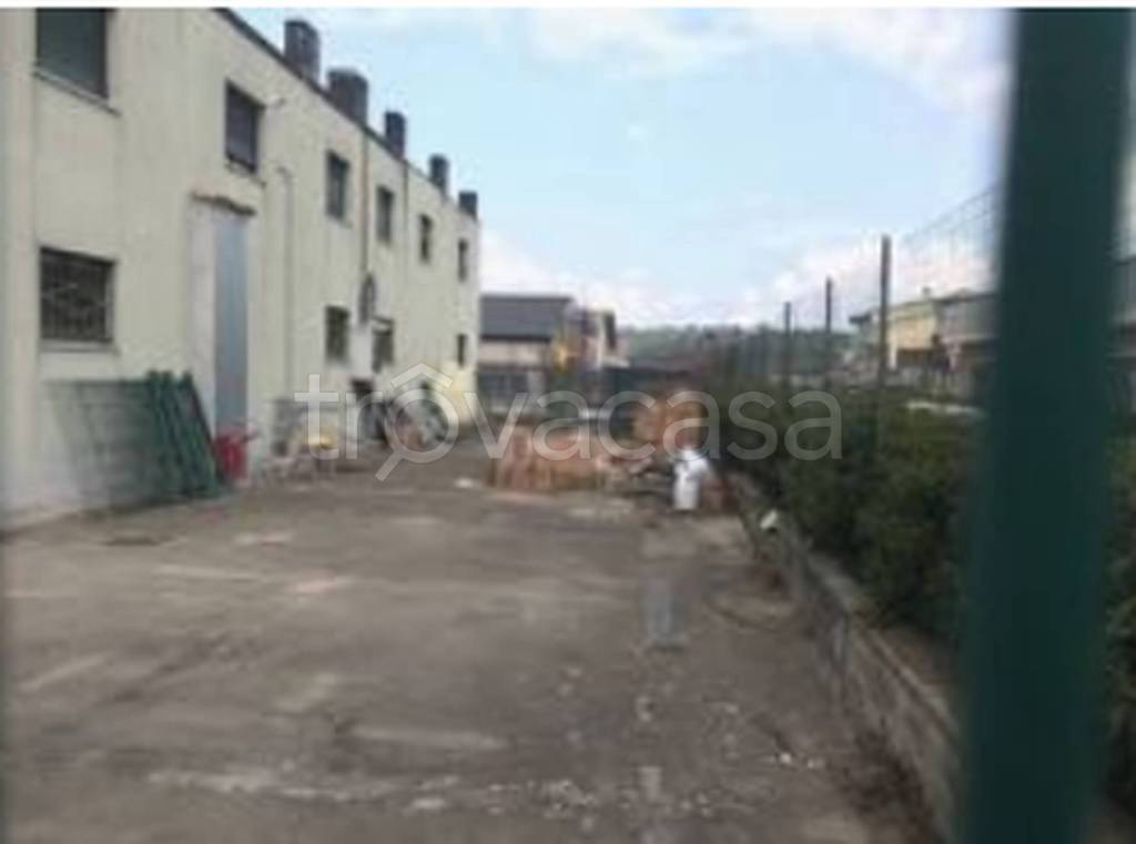 immagine annuncio 4 di 14