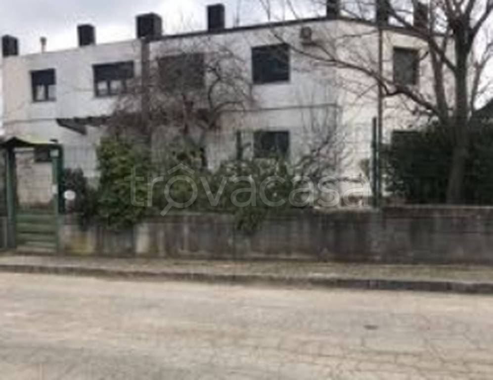 immagine annuncio 6 di 14