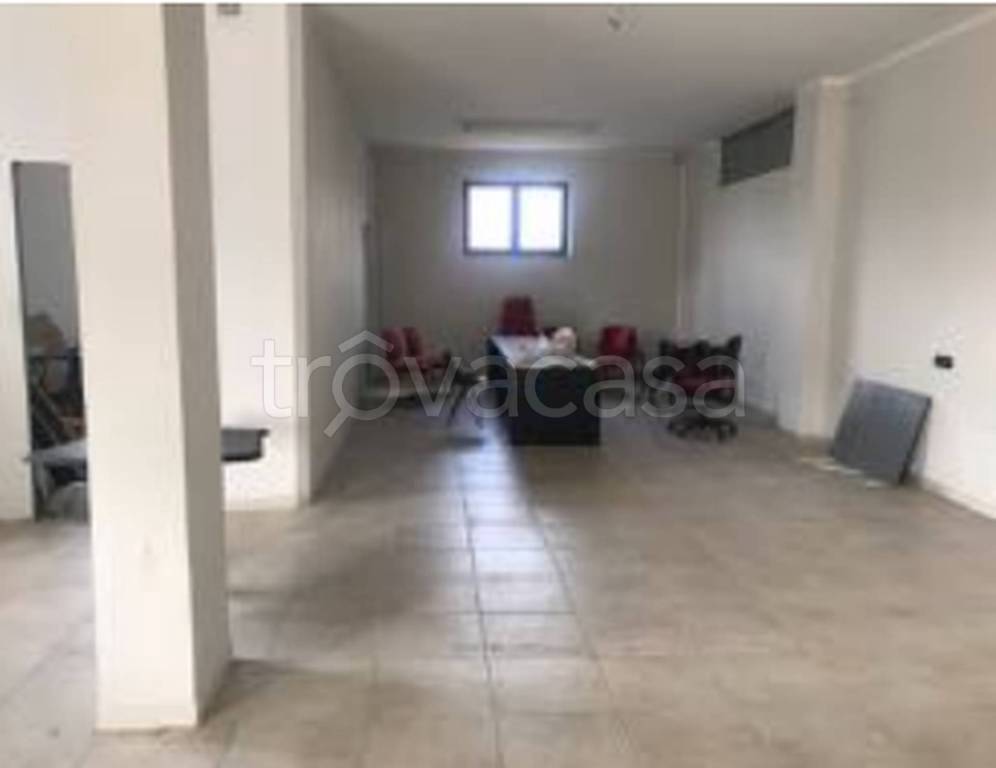 immagine annuncio 8 di 14