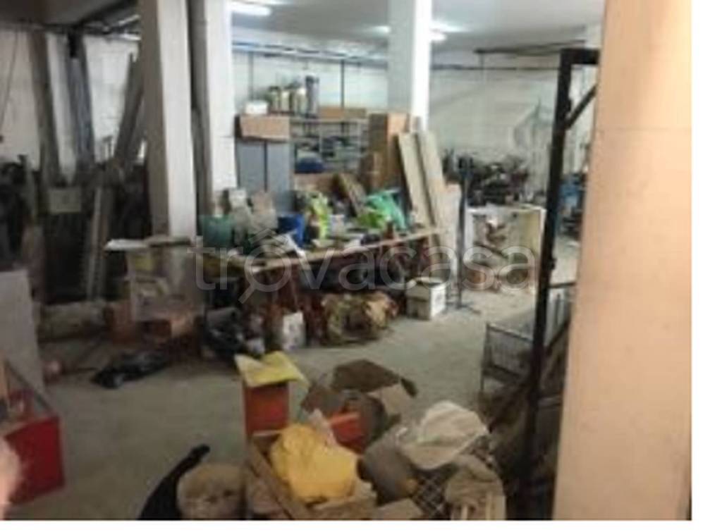 immagine annuncio 11 di 14