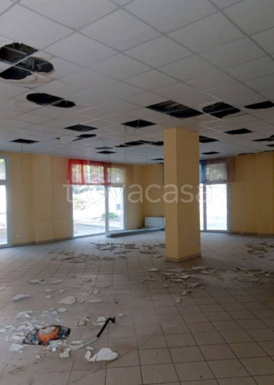 immagine annuncio 10 di 11