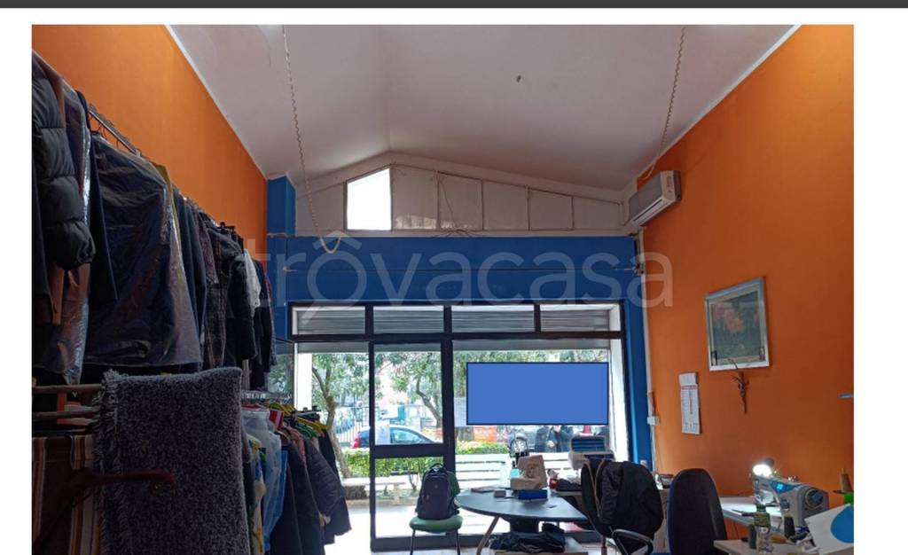 immagine annuncio 6 di 11