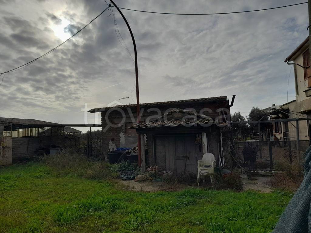 immagine annuncio 7 di 12