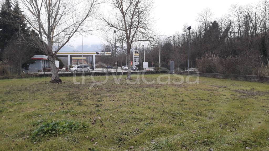 immagine annuncio 3 di 13