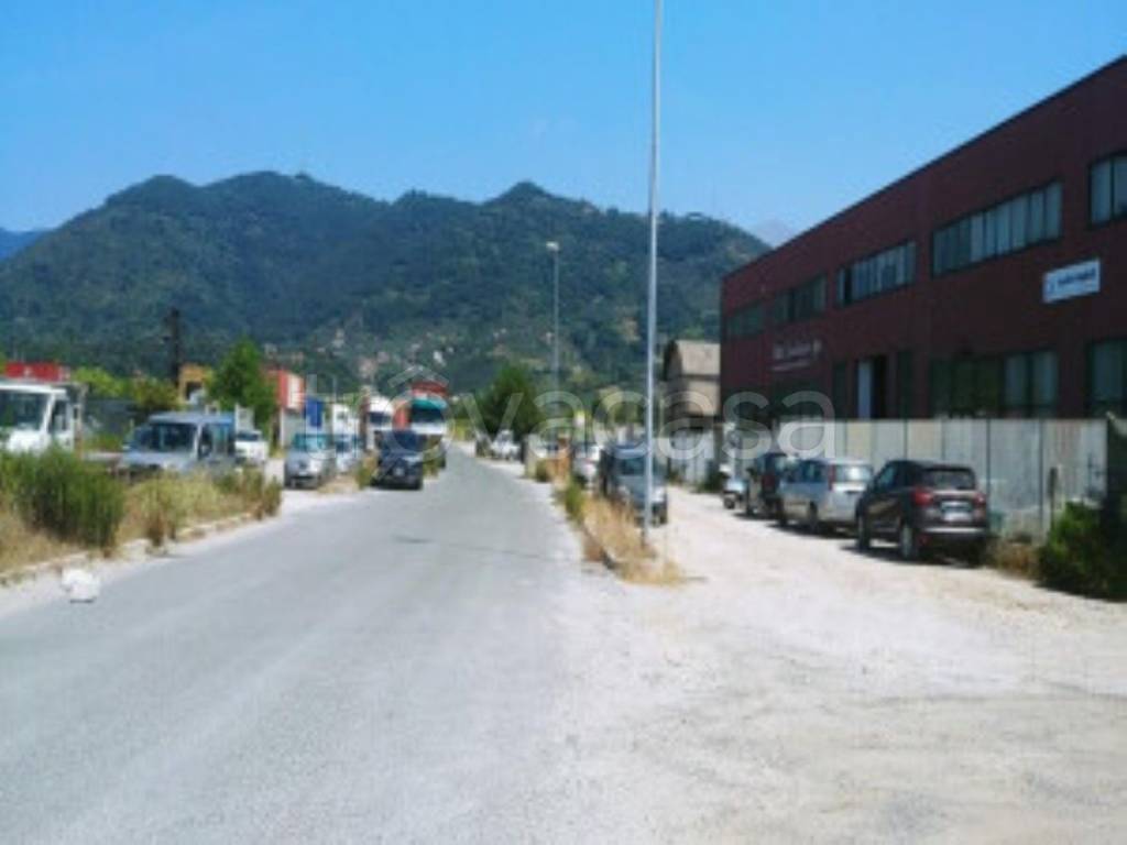 immagine annuncio 3 di 11