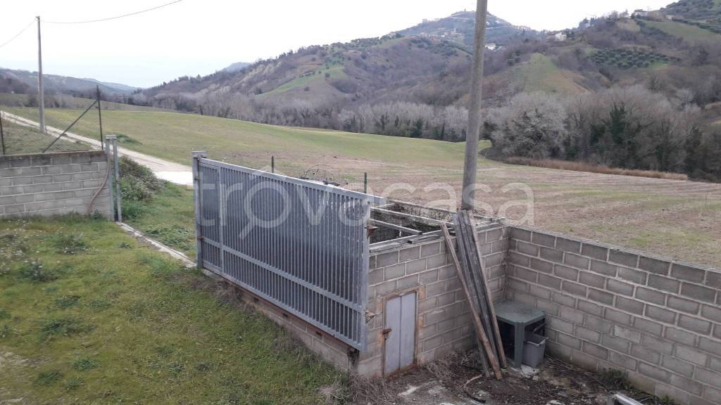 immagine annuncio 9 di 13