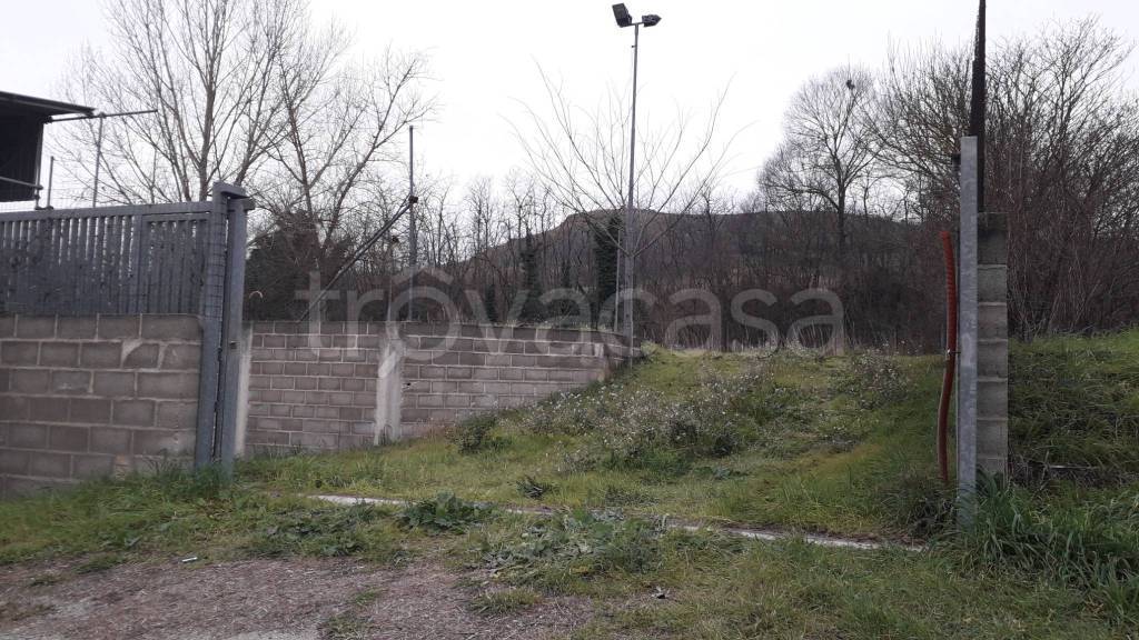 immagine annuncio 10 di 13