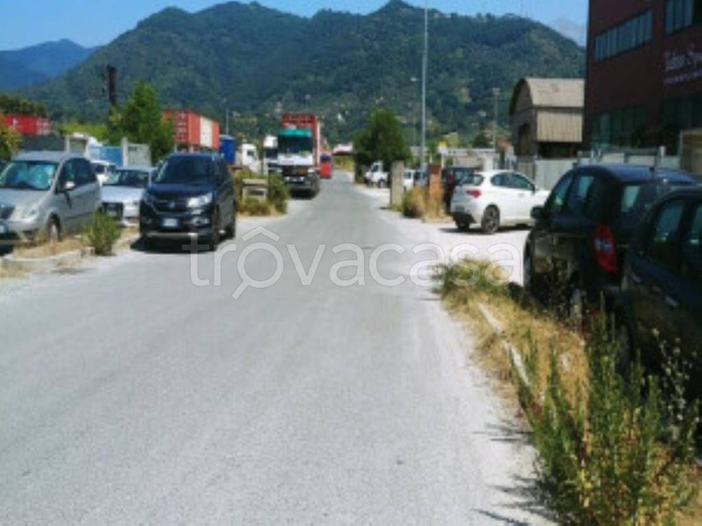 immagine annuncio 4 di 11