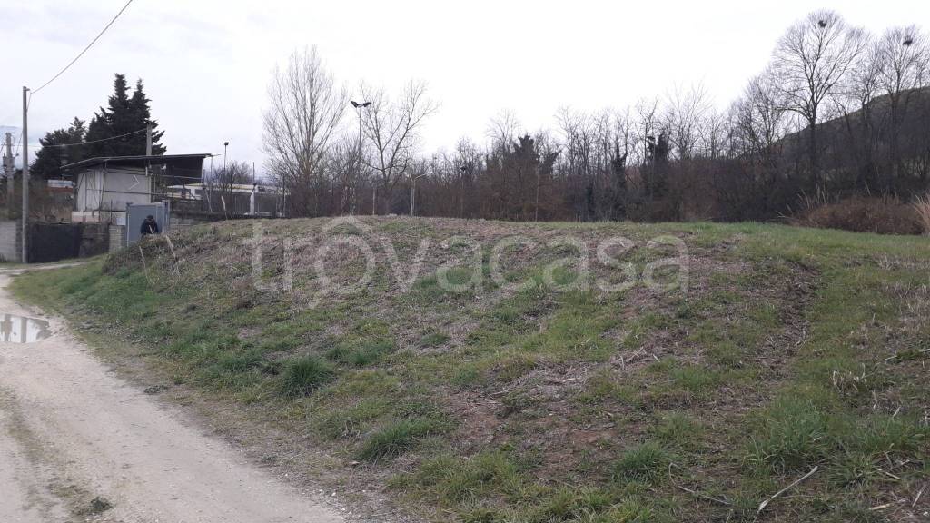 immagine annuncio 11 di 13