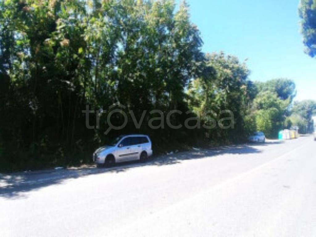 immagine annuncio 5 di 11