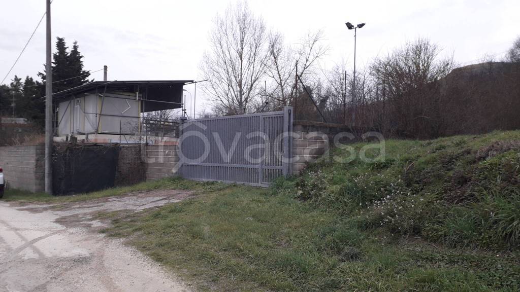 immagine annuncio 12 di 13