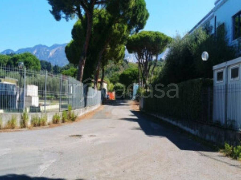 immagine annuncio 7 di 11