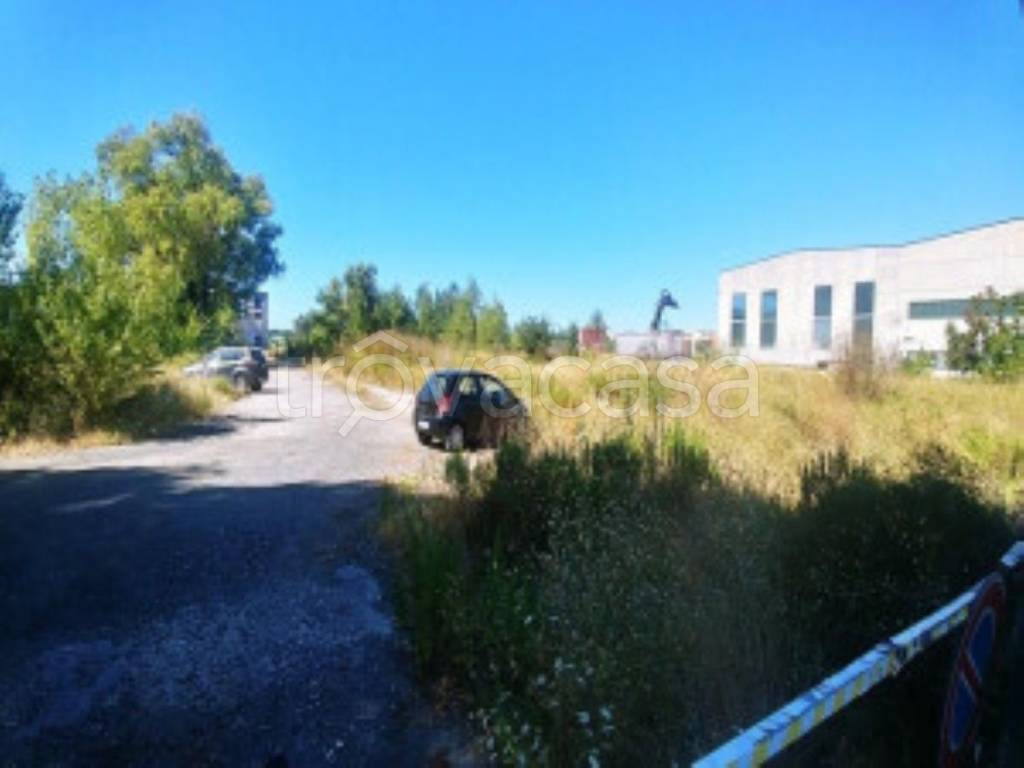 immagine annuncio 8 di 11