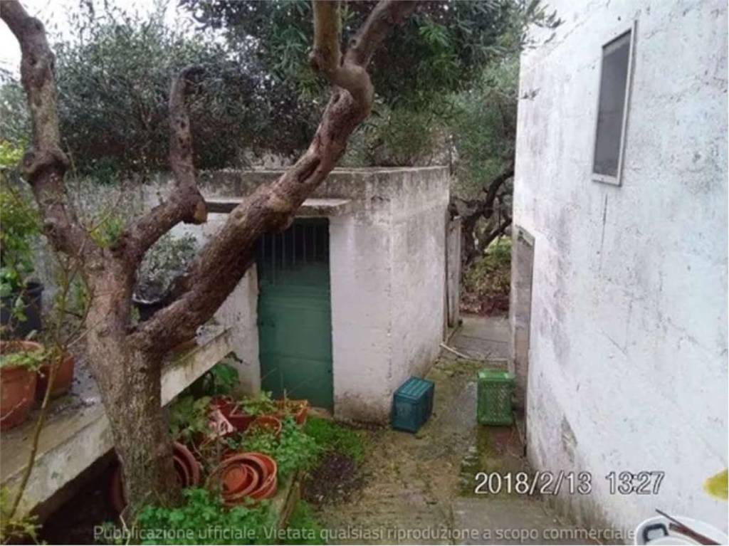 immagine annuncio 5 di 11