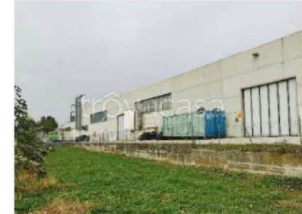 immagine annuncio 3 di 12