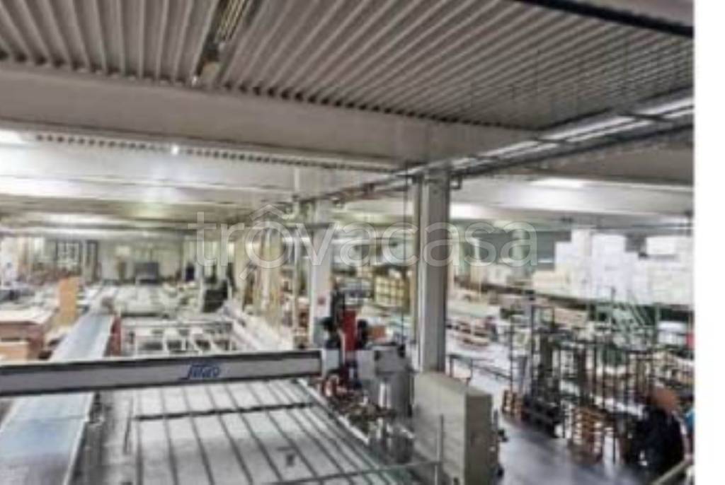 immagine annuncio 4 di 12