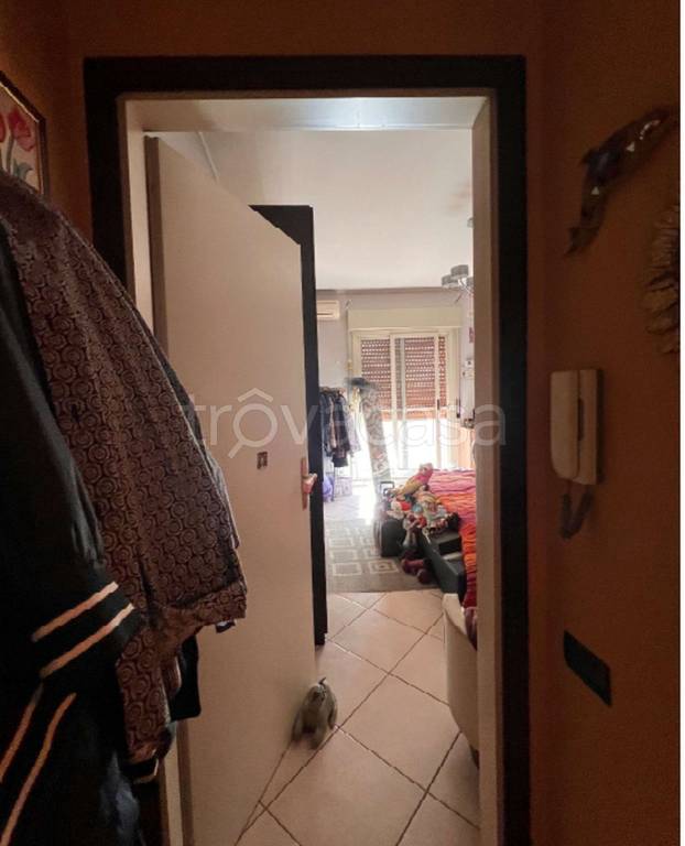 immagine annuncio 11 di 14