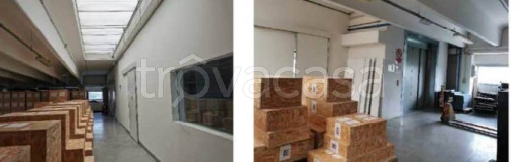 immagine annuncio 10 di 12