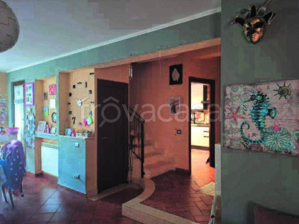 immagine annuncio 6 di 14