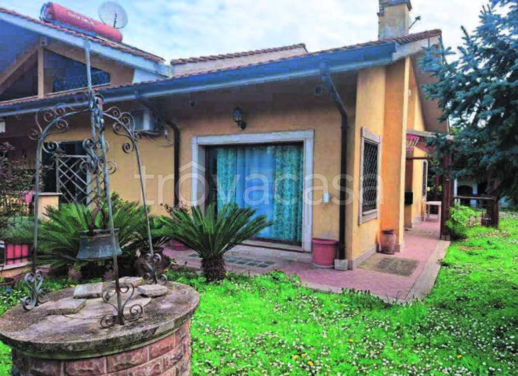 immagine annuncio 11 di 14