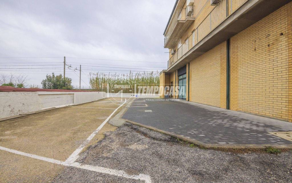 immagine annuncio 10 di 14