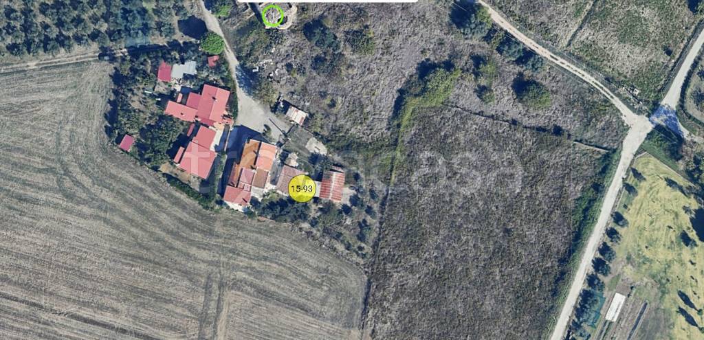 immagine annuncio 13 di 14