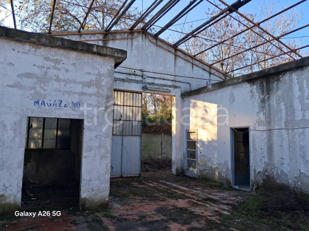 immagine annuncio 5 di 13