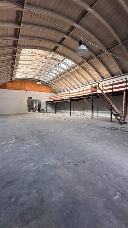 immagine annuncio 4 di 7