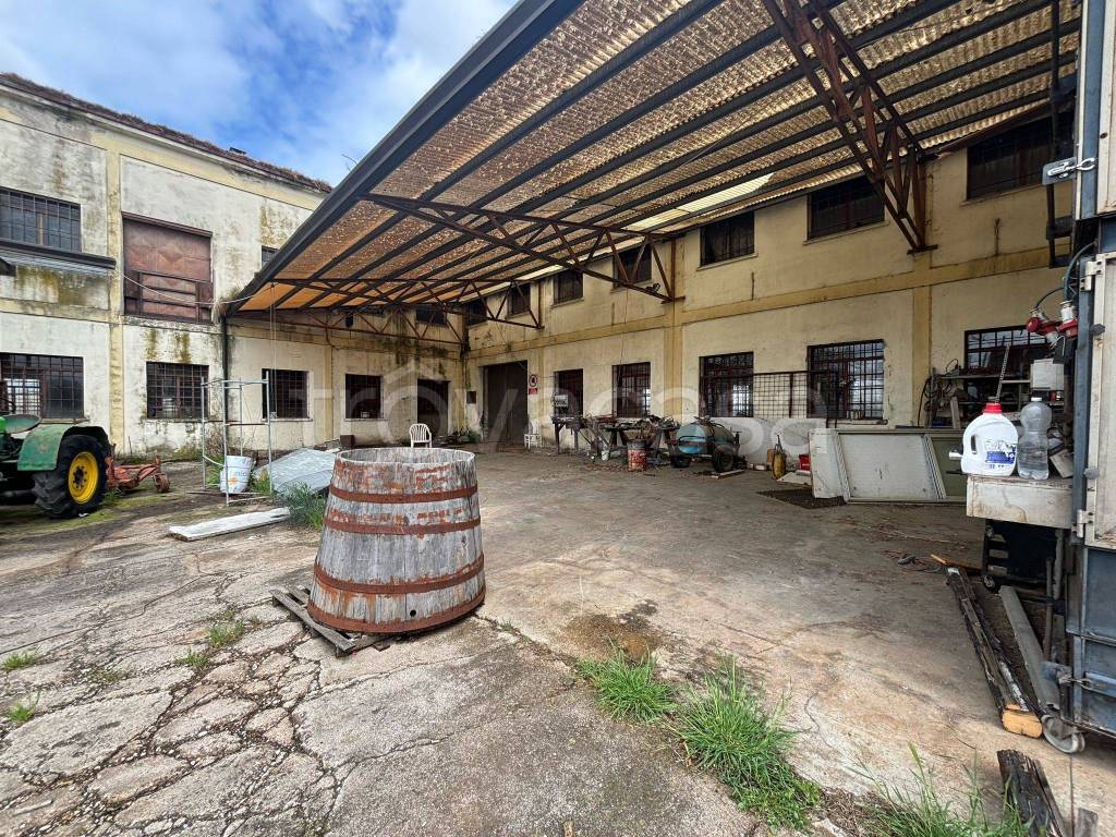 immagine annuncio 12 di 15