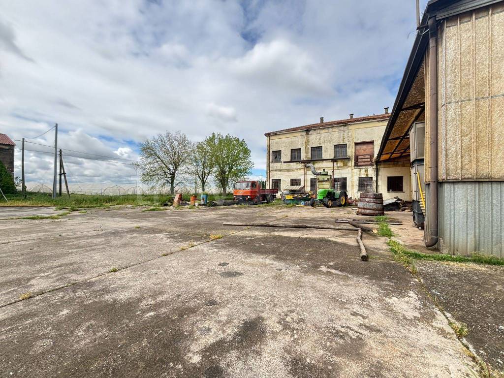 immagine annuncio 9 di 15