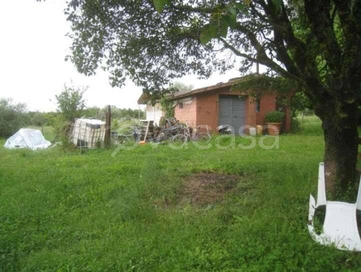 immagine annuncio 1 di 2