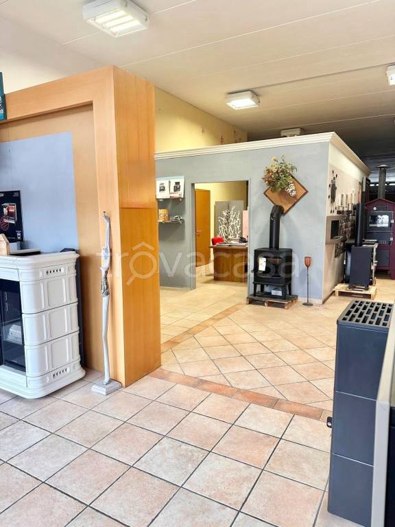 immagine annuncio 5 di 11