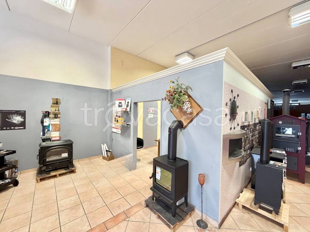 immagine annuncio 4 di 11