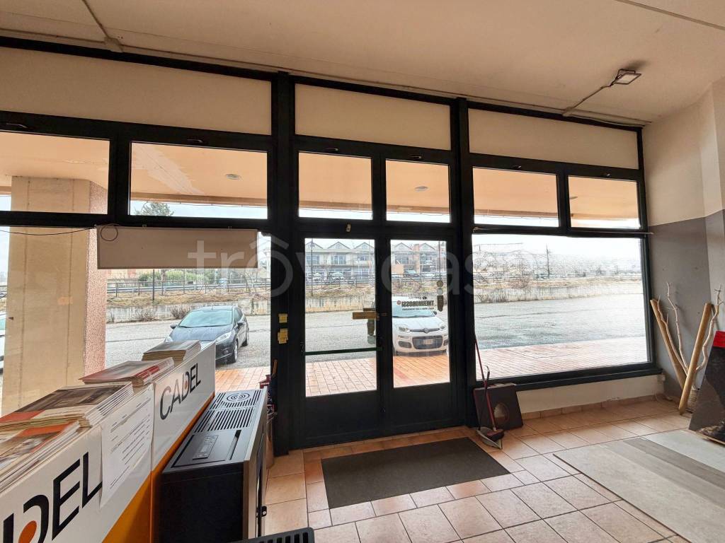 immagine annuncio 3 di 11