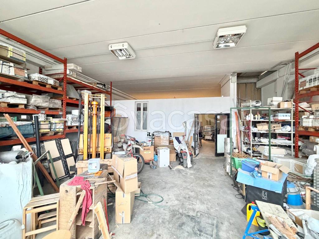 immagine annuncio 10 di 11