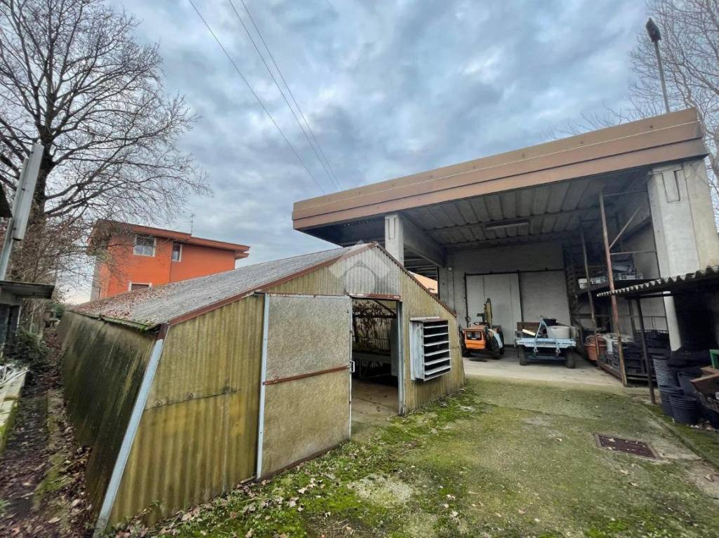 immagine annuncio 10 di 15