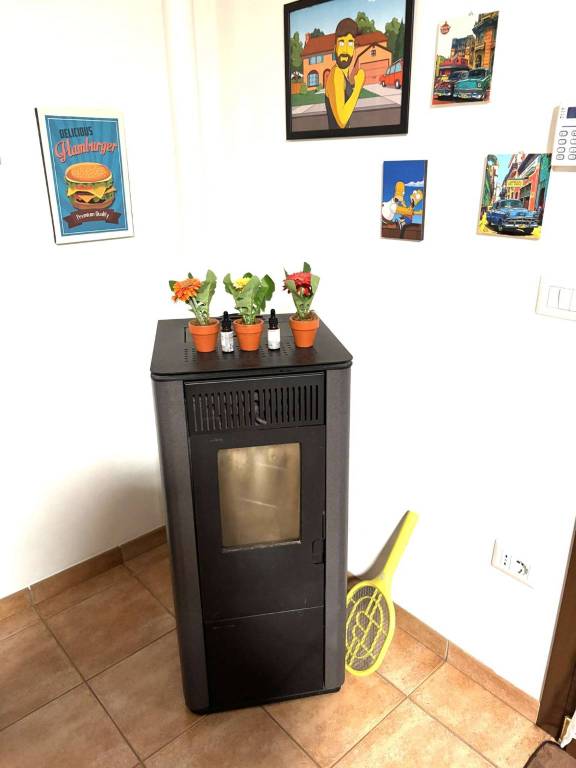 immagine annuncio 5 di 15