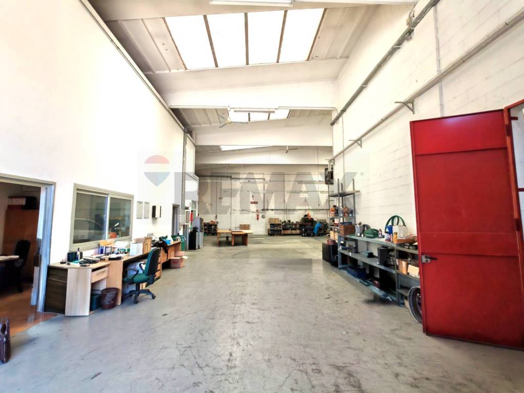 immagine annuncio 5 di 15