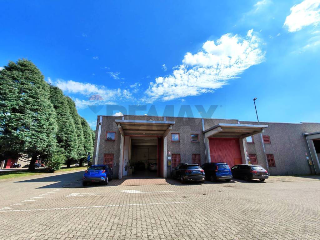 immagine annuncio 14 di 15