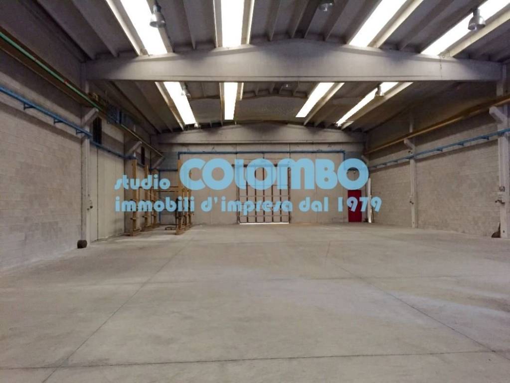 immagine annuncio 1 di 11