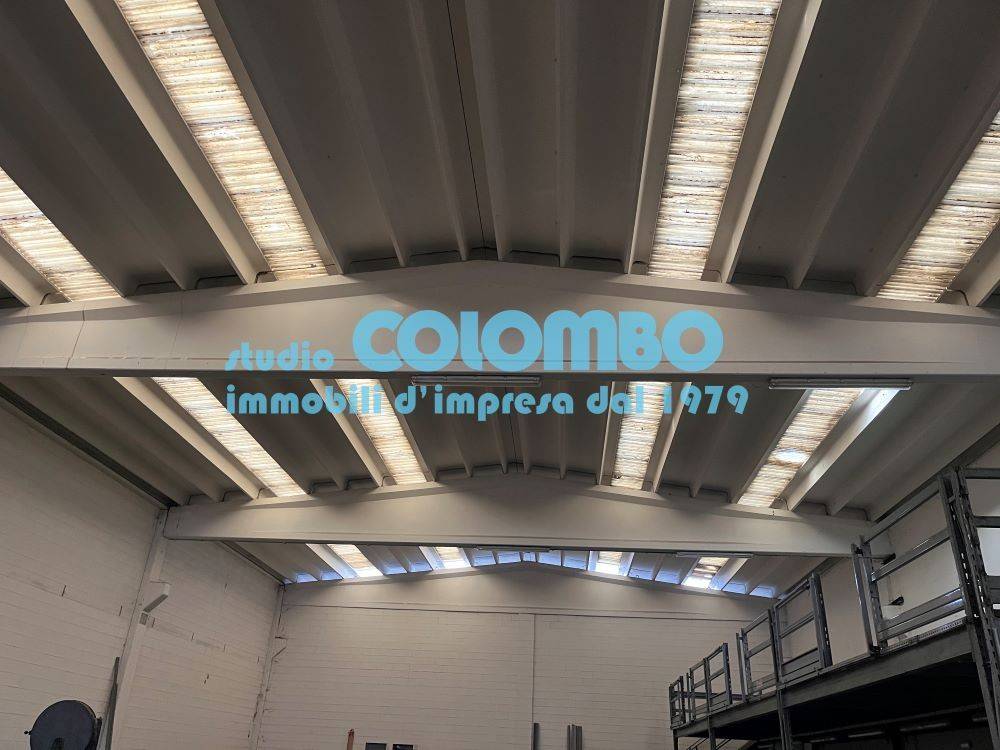 immagine annuncio 2 di 11