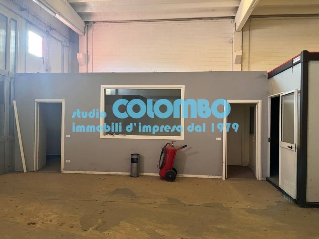 immagine annuncio 3 di 11